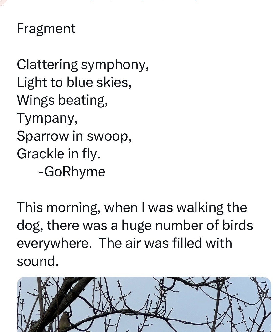 Poetry by Kelly Gray